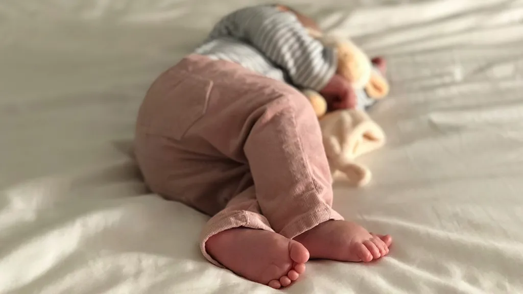 Nanny Bebes Article Image 12